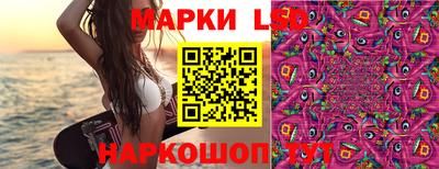 ECSTASY Камышлов