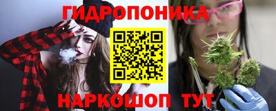 ECSTASY Камышлов