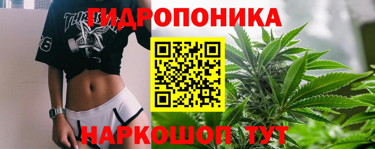 Шишки марихуана семена  Марихуана марихуана  Вход с VPN  МАРИХУАНА индика  Шишки марихуана Bruce Banner  Кизилюрт 